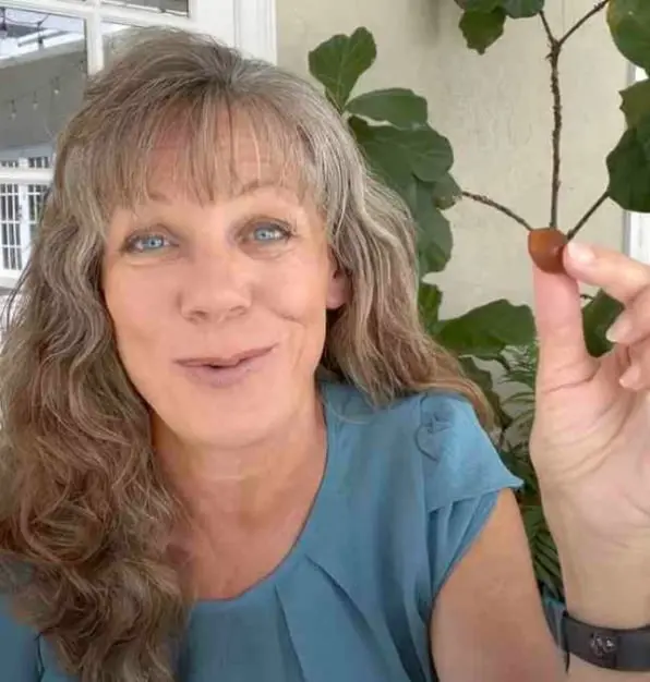 Himalla Shilajit Gummies 6